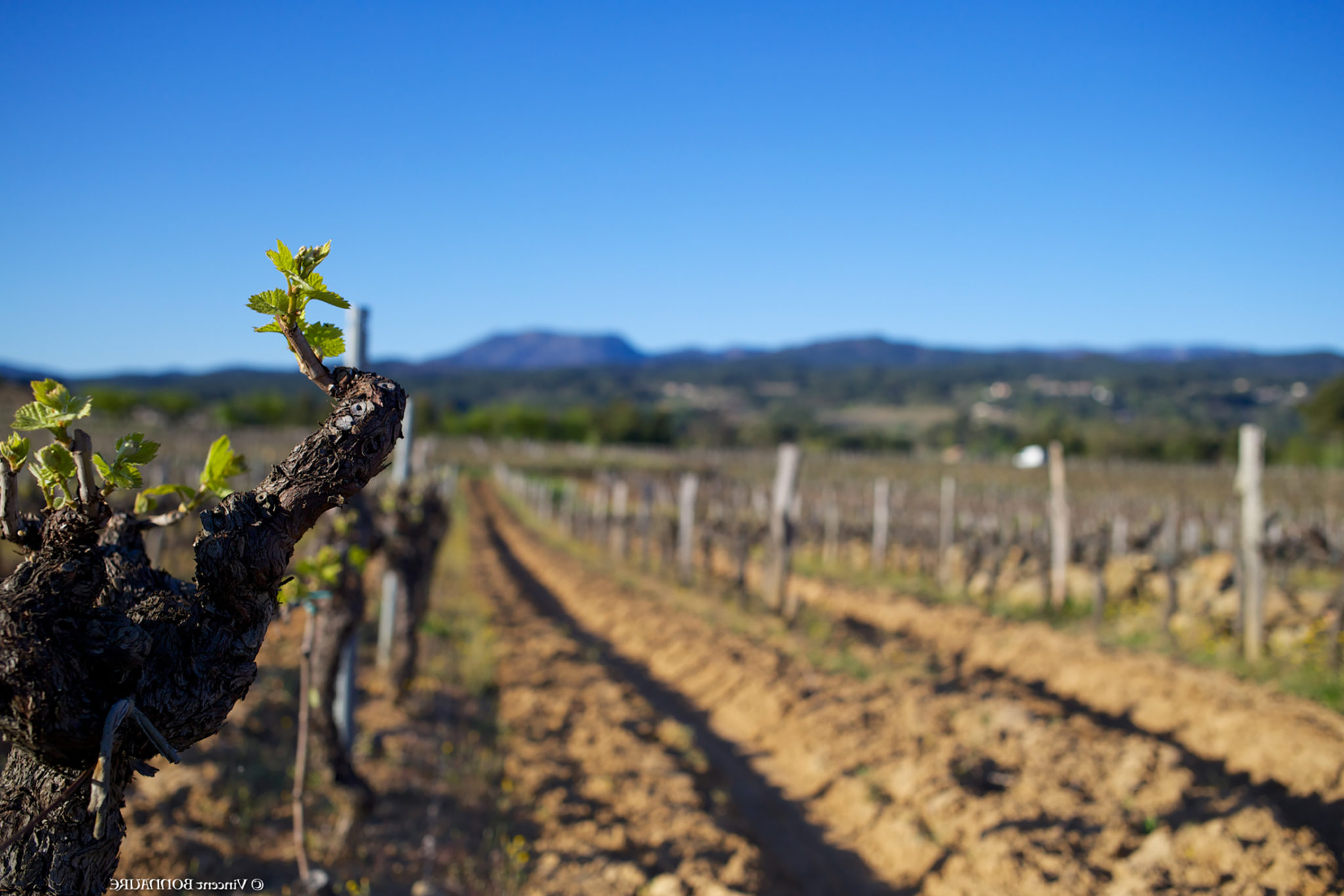 Terroir du Sud Ardèche