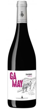 GAMAY MODESTINE