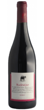 GAMAY MODESTINE