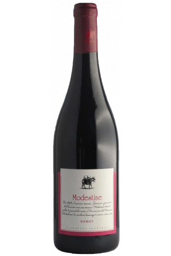 Gamay Modestine