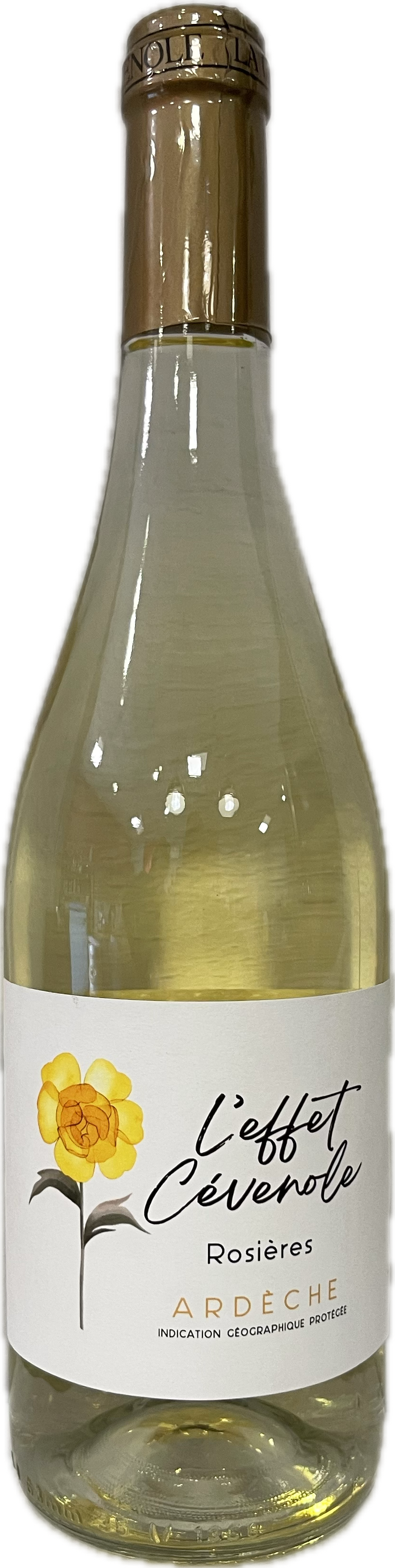 souvignier